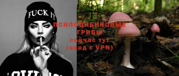 бутират Белокуриха