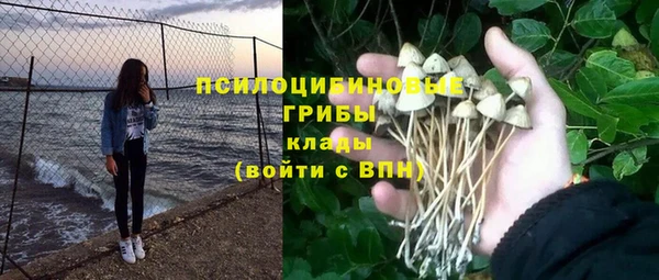 бутират Белокуриха