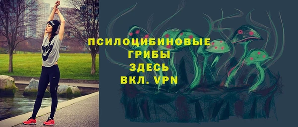 бутират Белокуриха