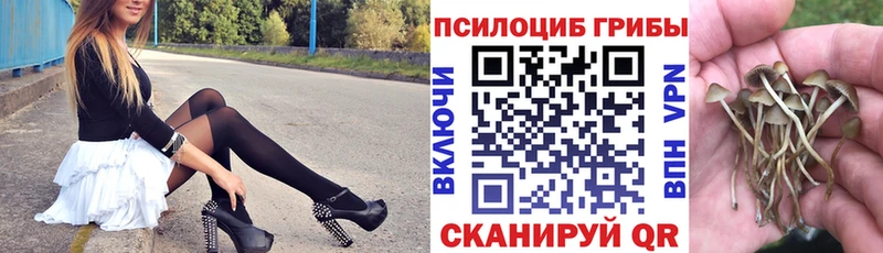 Псилоцибиновые грибы мицелий  Болхов 